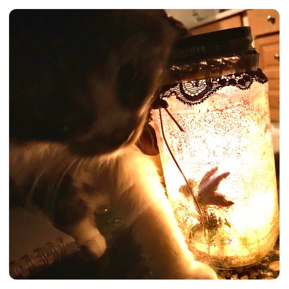 Meet your Posher, Alex - Picture 1 of 1